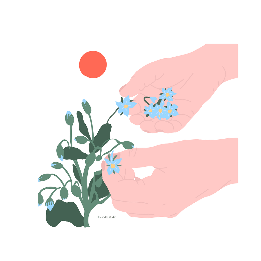 Illustrations de mains qui veuillent des fleurs