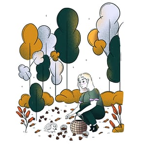 Illustration “Picking chestnuts”