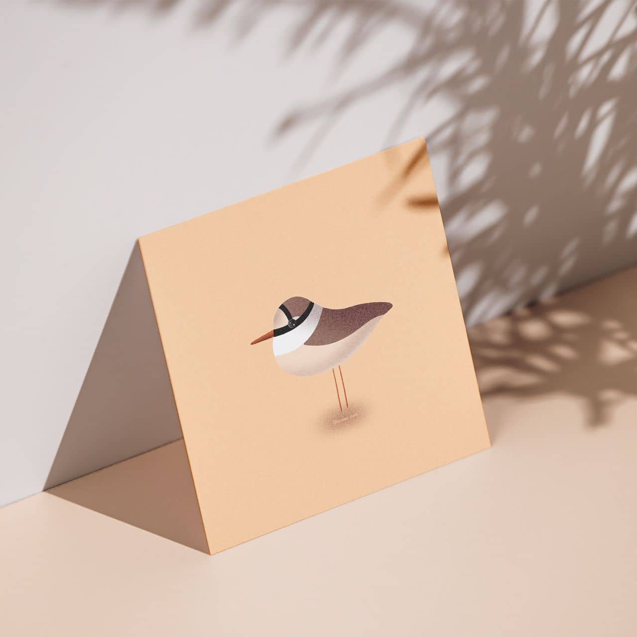 Illustration d'un oiseau, le gravelot, sur une carte postale